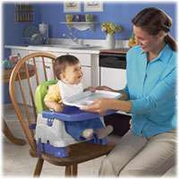   Fisher Price Healthy Care Deluxe Booster Seat, Blue/Green/Gray Baby