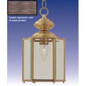  FTS Free Shipping   PENDANT OUTDOOR   101 330 41: Home 