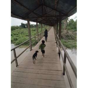 Dog Follows Boy Carrying Bananas in Small Community Outside Iquitos 