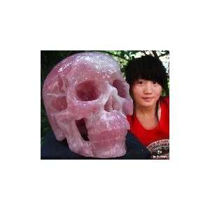   CLEAR TITAN Pink Rose Crystal Super Realistic Skull: Kitchen & Dining