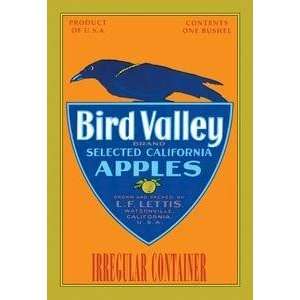    Vintage Art Bird Valley Brand Apples   12871 2: Home & Kitchen
