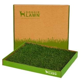 Doggielawn Disposable Dog Potty Box (Real Grass)   20 X 24 Inches by 