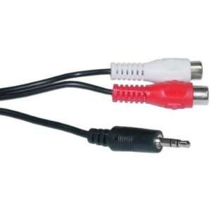  2 RCA Female / 3.5mm Stereo Male, 6 ft 