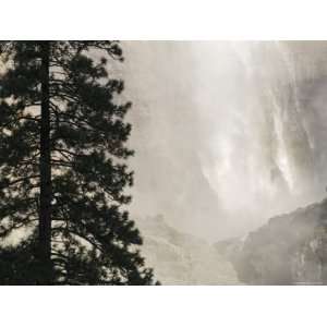 Upper Yosemite Falls and Pine Tree in the Winter, California Premium 