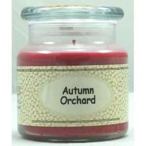  Long Creek Candles   16 oz Autumn Orchard 