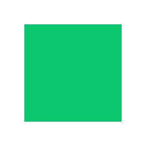 Rosco E Color 322 Soft Green Gel Filter Sheet: Electronics