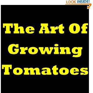   how to grow tomatoes the best way for planting tomatoes how to plant