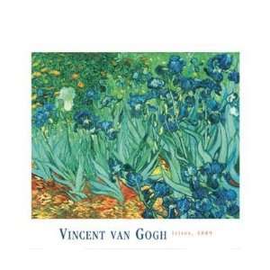 Vincent Van Gogh   Iriss:  Home & Kitchen
