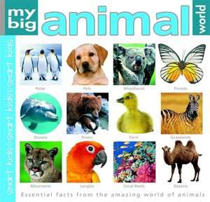   Animal World Book Essential Facts from the Amazing World of Animals