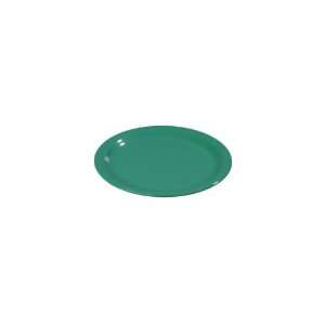   Rim Dinner Plate, Meadow Green, 9 3/16   43012 09