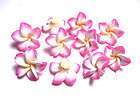 10 Fimo Plumeria Fimo Polymer Clay Flowers 20mm Beads F