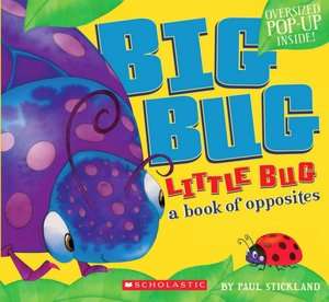   Big Bug, Little Bug A Book of Opposites by Paul 