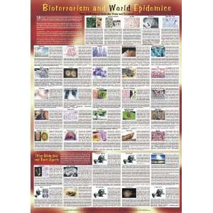 American Educational JPT 7604 Bioterrorism and World Epidemics Poster 