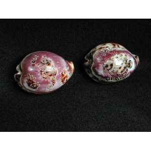 Carved Cowry Sealife Shells:  Home & Kitchen