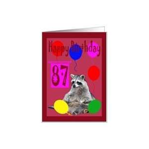  87th Birthday, Raccoon with balloons Card Toys & Games