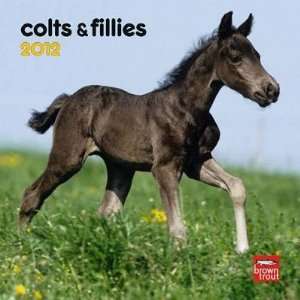  Colts & Fillies 2012 Small Wall Calendar: Office Products