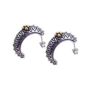   : Brass Earrings Hoop Like Oxidized With Gold Plated Earring: Jewelry