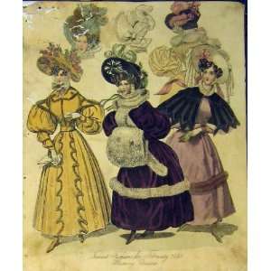  Womens Fashion 1831 Morning Dresses Hats Fur Colour: Home 