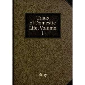 Trials of Domestic Life, Volume 1 Bray Books