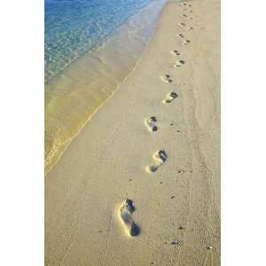  Footsteps on Sandy Beach   Peel and Stick Wall Decal by 
