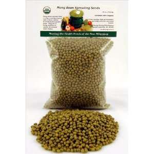 Pound Mung Bean Organic Sprouting Seed  Grocery 