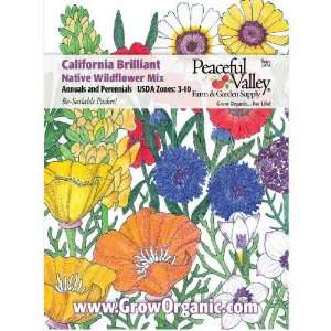  California Brilliant Wildflower Mix Seed Pack: Patio, Lawn 