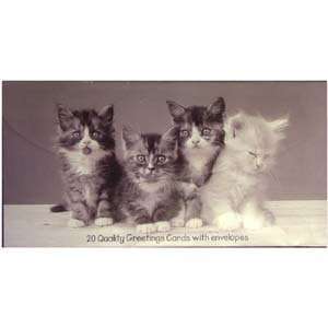  20 Quality Cute Kitten Greeting Cards with Envelopes 