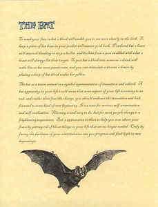 Book of Shadows page about The Bat Wicca Wiccan Witchcraft  