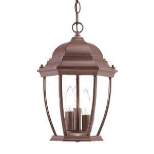   5036BW 3 Light Wexford Large Outdoor Pendant: Home Improvement