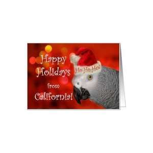 Happy Holidays from California, African Grey Parrot with 