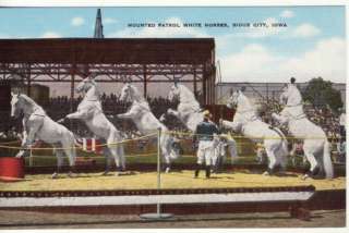 IA SIOUX CITY MOUNTED PATROL WHITE HORSES postcard  