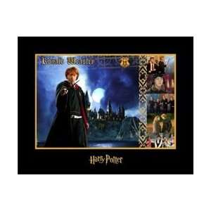   Wizards of Harry Potter Collection Ronald Weasley 
