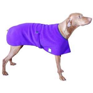  Vizsla Spring Fall Dog Coat: Pet Supplies