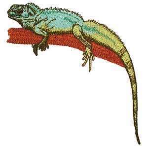 Chinese Water Dragon Lizard Awesome Epic Iron on Patch  