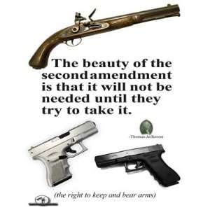    Patriotic Poster / Beauty of the Second Amendment 