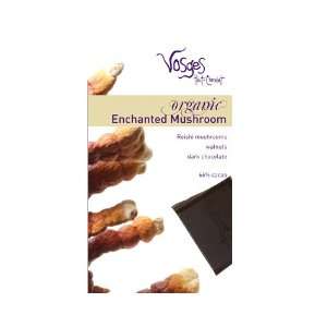 Organic Enchanted Mushroom Exotic Candy Bar (3 ounce)  