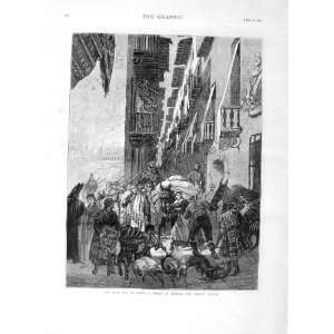   1875 CIVIL WAR SPAIN STREET ESTELLA CARLIST TOWN PIGS: Home & Kitchen
