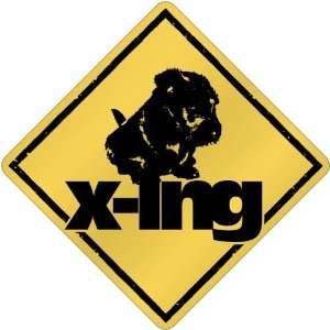 New  Scottish Terrier X Ing / Xing  Crossing Dog:  