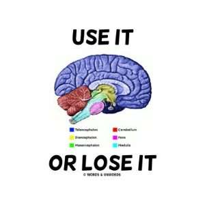 Use It Or Lose It (Brain Anatomy Humor Saying) Stickers  