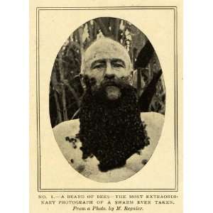  1907 Print Bee Swarm Man Beard M Regnier Photography 