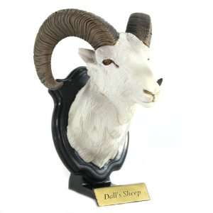  Miniature Replica Hunting Trophy SP   Dalls Sheep (2 3 