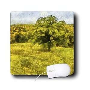   Digital Paint Landscape   Oak Tree on a Hill   Mouse Pads Electronics