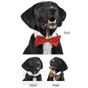  Dog Bow Tie   Small Red
