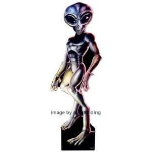    Roswell Alien Male Life size Standup Standee UFO: Everything Else