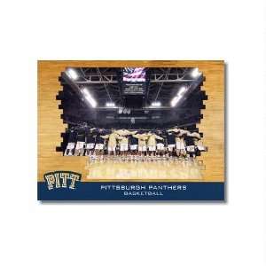  Pittsburgh Panthers   Petersen Events Center 12x16 