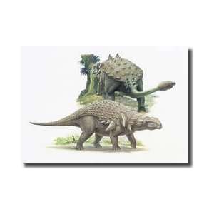   From The Late Cretaceous Period Giclee Print