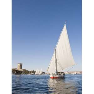  Felucca Sailing on the River Nile Near Aswan, Egypt, North 