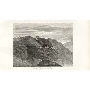  Landseer Sketch  The Deer Stalker 1833