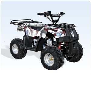 ATV 110cc Mini Mountainer:  Sports & Outdoors