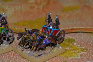 15mm Ancient DPS Painted DBMM Saitic Egypt Army SE153  